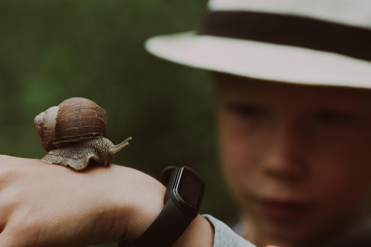 Enfant en chapeau blanc observe un escargot sur le bras d'une personne portant une montre dans une forêt Enfant en chapeau blanc observe un escargot sur le bras d'une personne portant une montre dans une forêt