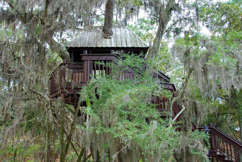 Maison dans les arbres avec des branches et des feuilles